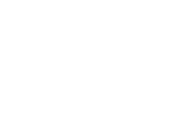 Logo del Registro de Agentes de Intermediacion Inmobiliaria de la Comunitat Valenciana